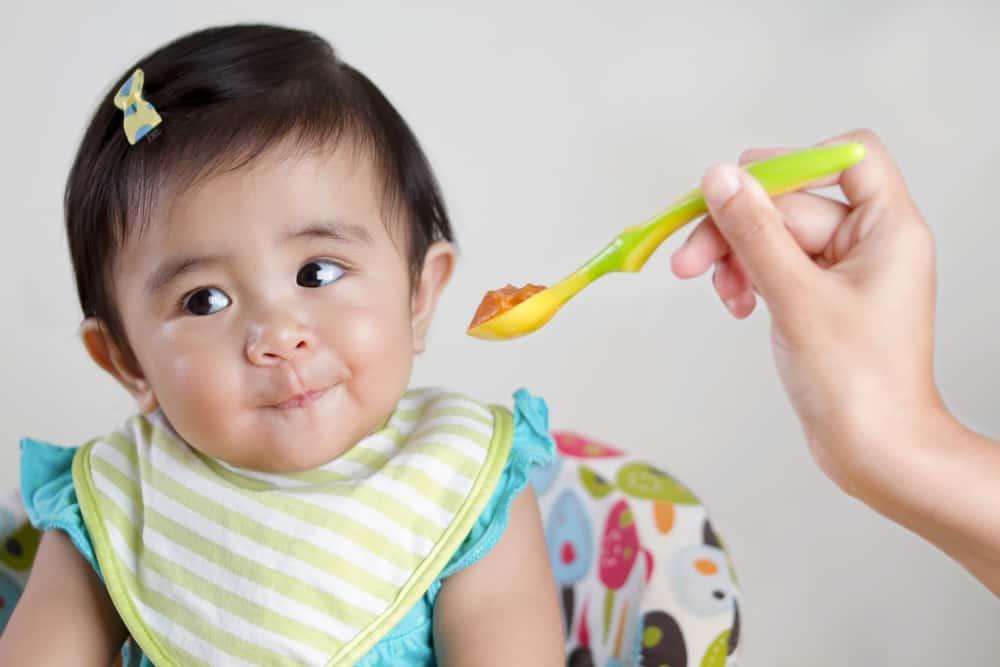 【科学的根拠に基づく】日本の離乳食計画：生後5ヶ月から18ヶ月までの最適栄養指導・完全ガイド